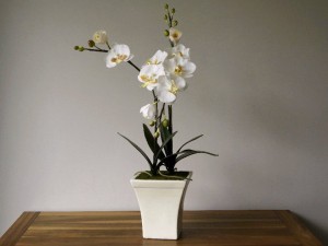 Biała sztuczna orchidea w kremowej doniczce [AZ00326]