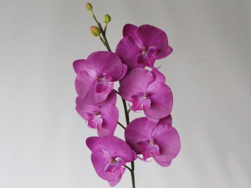 Artificial Phalaenopsis flower 114cm  [005652]
