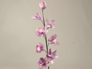 Cybindium 109cm [AZ01690]