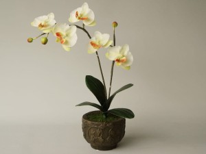 Articifial phalaenopsis orchid in ceramic pot 44cm [AZ02021]