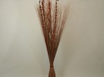 Dried flowers arrangement 150cm [AZ00967]