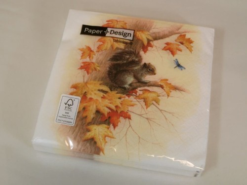 Serwetki papierowe z rudą wiewiórką [AZ01324]