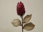 Protea Stem 88cm [AZ01701]