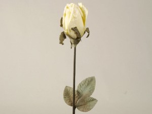 Kremowo żółta sztuczna róża pąk 63cm [AZ01680]