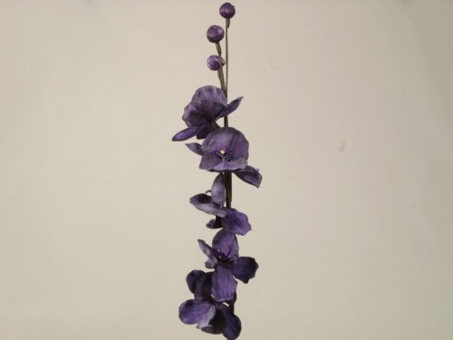 AZ01695(4954).jpg