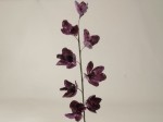 AZ01689(4964).jpg